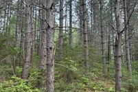 Timberland Property for sale in Cook County, Minnesota