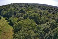 Undeveloped Land for sale in Lyon County, Kentucky