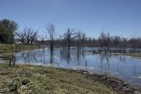 Farm Property for sale in Fannin County, Texas