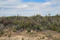 Timberland Property for sale in Terry County, Texas