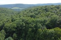 Farm Property for sale in Potter County, Pennsylvania