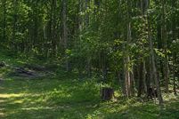 Farm Property for sale in Morrison County, Minnesota