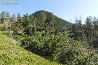 Property for sale in Douglas County, Colorado
