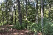 Undeveloped Land for sale in Union County, Georgia