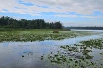 Timberland Property for sale in Crow Wing County, Minnesota