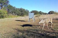 Farm Property for sale in Mills County, Texas