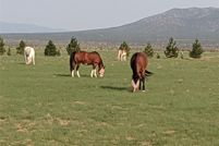 Timberland Property for sale in Santa Fe County, New Mexico
