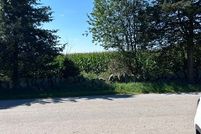 Ranch Property for sale in Windham County, Connecticut