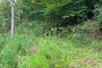 Timberland Property for sale in Clay County, West Virginia