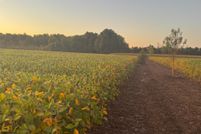 Ranch Property for sale in Benton County, Minnesota