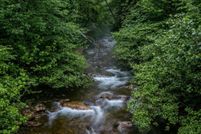 Recreational Property for sale in Rockingham County, Virginia