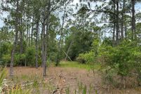 Timberland Property for sale in Collier County, Florida