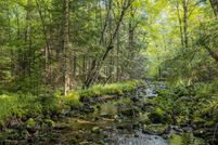 Farm Property for sale in Langlade County, Wisconsin