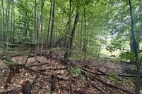 Ranch Property for sale in Benzie County, Michigan