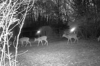 Farm Property for sale in Coshocton County, Ohio