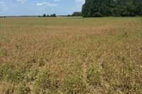 Property for sale in Tallahatchie County, Mississippi