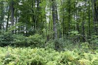 Undeveloped Land for sale in Marinette County, Wisconsin