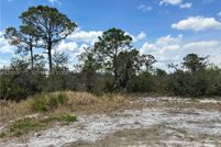 Farm Property for sale in Highlands County, Florida
