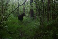 Farm Property for sale in Pine County, Minnesota