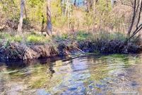 Farm Property for sale in Santa Rosa County, Florida