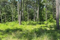 Hunting Land for sale in Jasper County, Texas