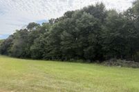 Undeveloped Land for sale in Henry County, Alabama