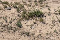 Property for sale in Kern County, California