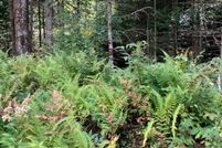 Farm Property for sale in Orleans County, Vermont