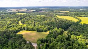Clark County, AR Land for Sale between 51 and 100 Acres - 13 Listings |  Land And Farm