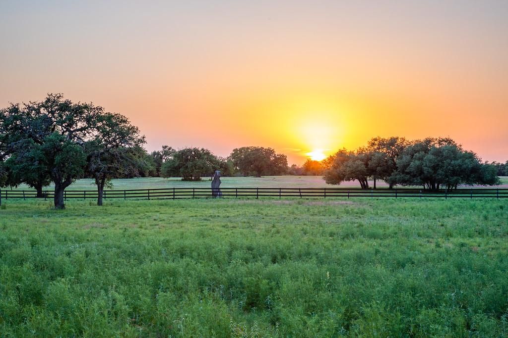 220 Acres Pipe Creek Tx Property Id 7897388 Land And Farm