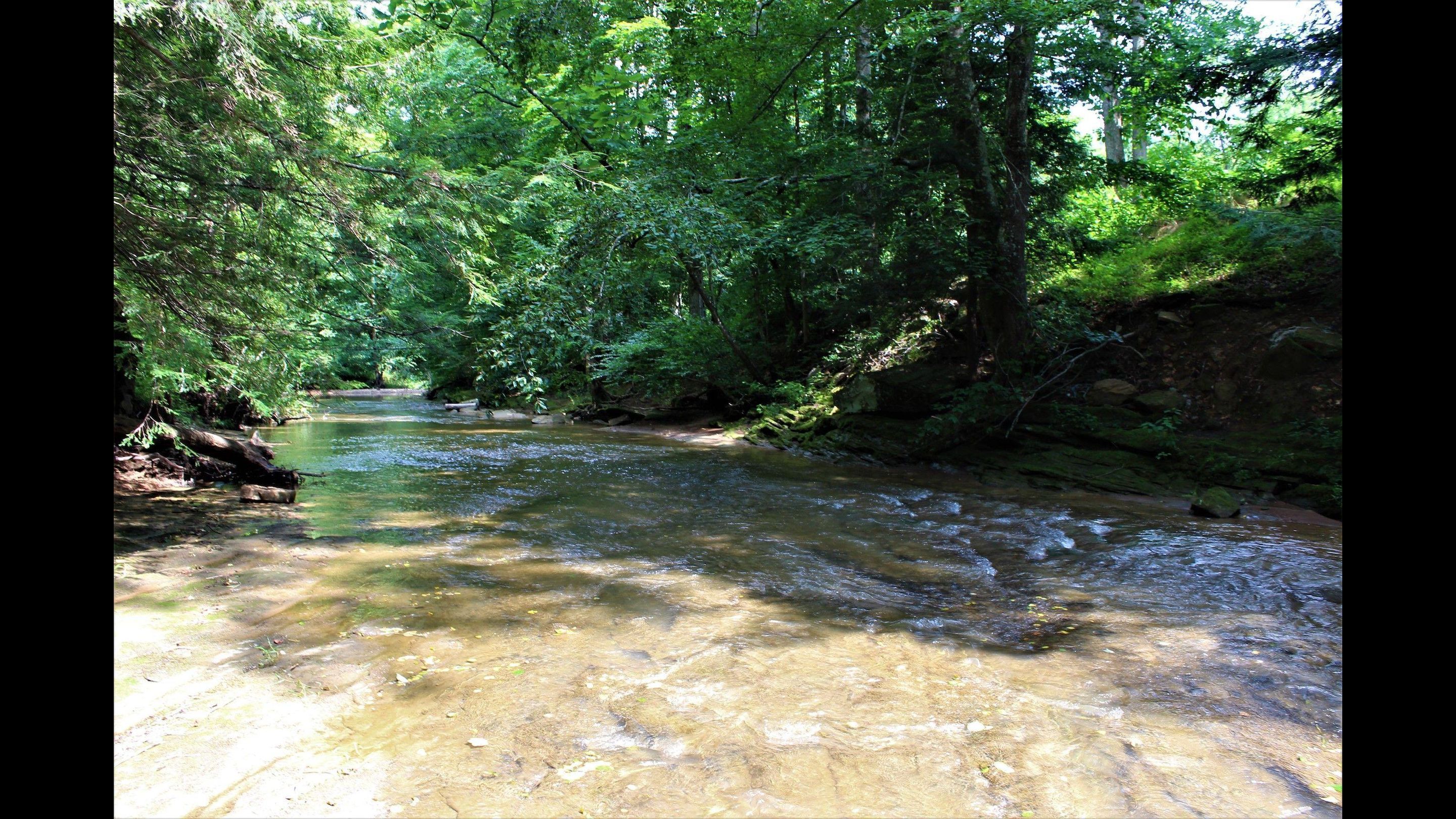 87 acres, Campton, KY, Property ID