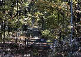 Dawsonville Ga Horse Property For Sale 2 Listings Land And Farm