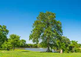 Brazos County Tx Horse Property For Sale 5 Listings Land And Farm