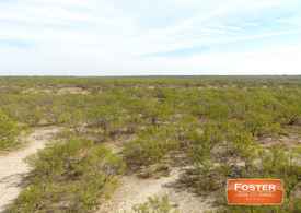 Eagle Pass Tx Land For Sale 160 Listings Land And Farm