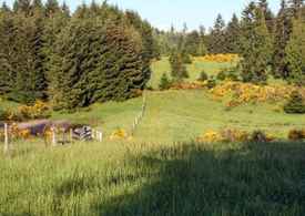 Thurston County Wa Land For Sale 45 Listings Land And Farm