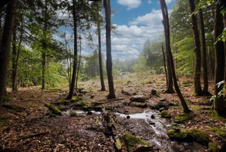 Ranch Property for sale in Cumberland County, Maine