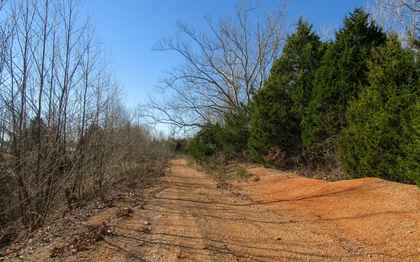 168 Acres Mineral Point Mo Property Id Land And Farm