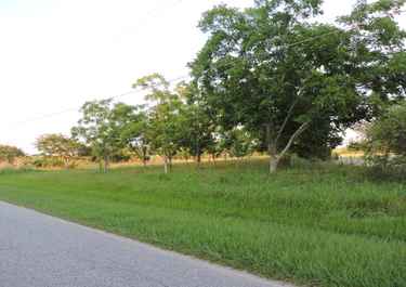 Larry Land Has 12 Listings Listings For Sale In Georgia