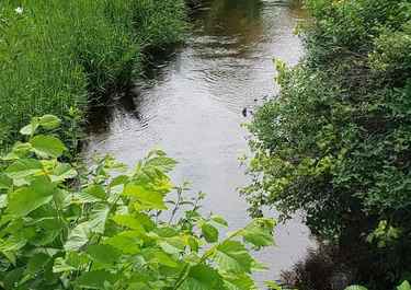 Carole Wilson Has 3 Listings Listings For Sale In Michigan