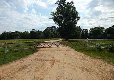 Patricia Cooper Has 5 Listings Listings For Sale In Mississippi