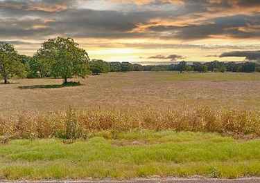 Page 1 For Joe Iley Has 34 Listings Listings For Sale In Texas