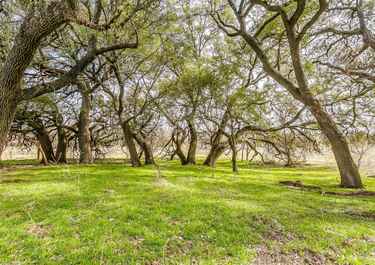 John Mcguire Has 6 Listings Listings For Sale In Texas