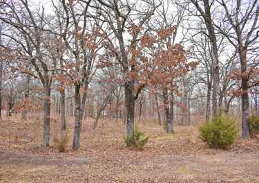 Page 1 For Anitra Babcock Has 22 Listings Listings For Sale In Oklahoma