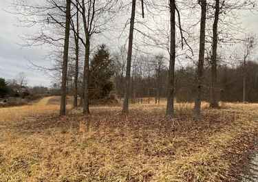 Page 1 For Short Way Real Estate Inc Has 26 Listings Listings For Sale In Virginia