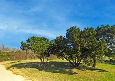 Page 1 For Joe Iley Has 35 Listings Listings For Sale In Texas