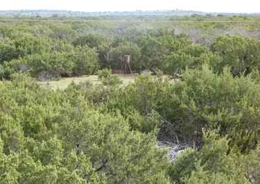 Brooks Land Gallery Inc Has 6 Listings Listings For Sale In Texas