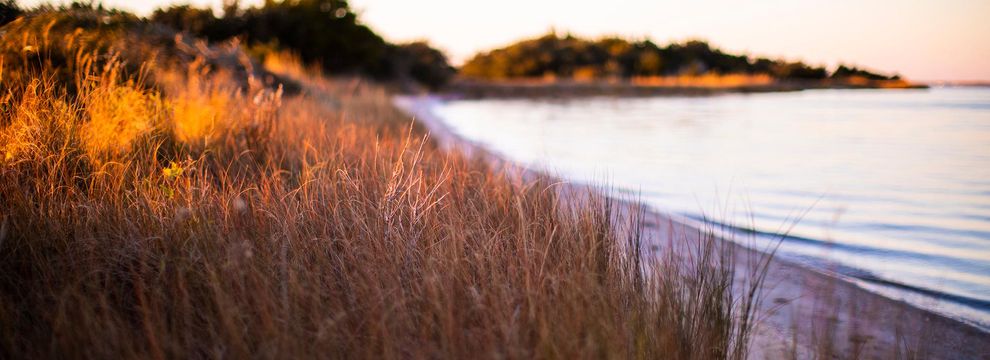 Farm Property for sale in Dare County, North Carolina