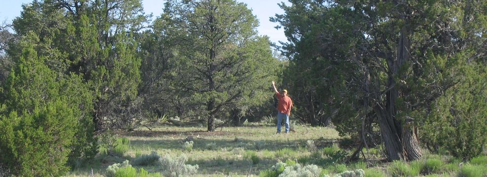 Property for sale in Apache County, Arizona