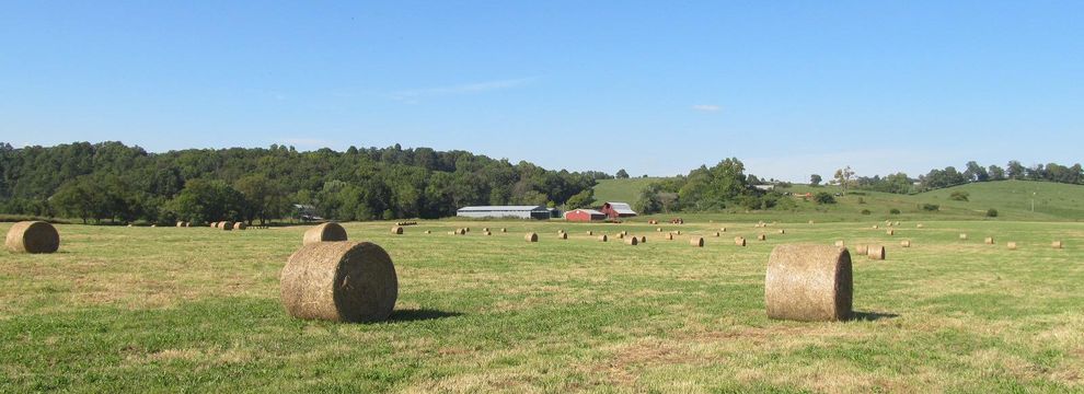 Farm Property for sale in Madison County, Arkansas