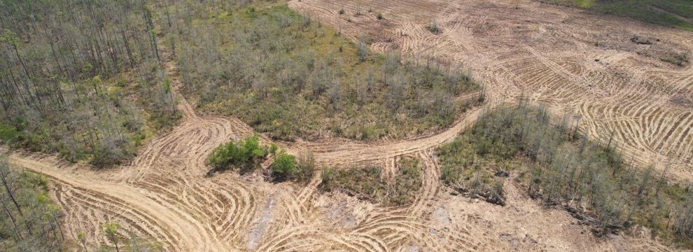 Ranch Property for sale in Newton County, Texas